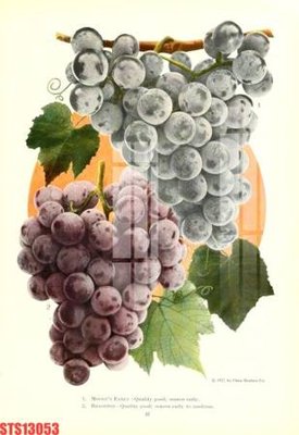 Tải file gốc Tranh sơn dầu phương tây tổng hợp STS13053 (in không vỡ ảnh)