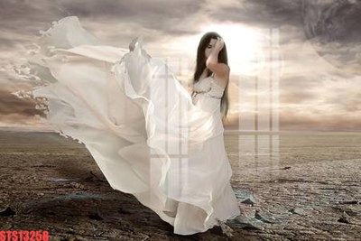 File tranh Tranh sơn dầu phương tây tổng hợp STS13258 (file gốc) chuẩn màu in