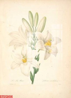 File tranh quảng cáo Tranh sơn dầu phương tây tổng hợp STS13414 (download file gốc)