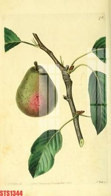 File gốc Tranh sơn dầu phương tây tổng hợp STS1344 (in lụa) trang trí tường