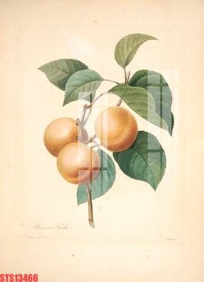 Tải file Tranh sơn dầu phương tây tổng hợp STS13466 (ảnh gốc) độ phân giải 300dpi