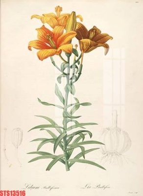 Tải file gốc Tranh sơn dầu phương tây tổng hợp STS13516 (để in lụa)