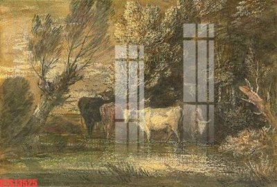 Tải file Tranh sơn dầu phương tây tổng hợp STS13525 (gốc) chủ đề hoa sen