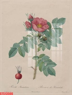 File gốc Tranh sơn dầu phương tây tổng hợp STS13566 (ảnh chi tiết) để in lụa