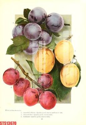 File in mica Tranh sơn dầu phương tây tổng hợp STS13670 (ảnh gốc) đẹp