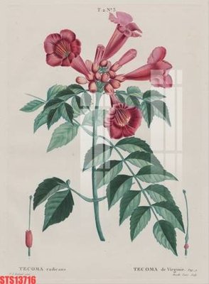 Download file Tranh sơn dầu phương tây tổng hợp STS13716 (gốc) in mica cao cấp