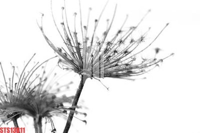 File ảnh Tranh sơn dầu phương tây tổng hợp STS13811 (gốc) cho trang trí nội thất