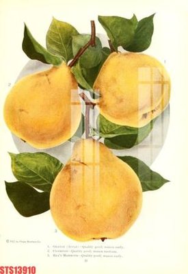 Download file ảnh gốc Tranh sơn dầu phương tây tổng hợp STS13910 để in ấn