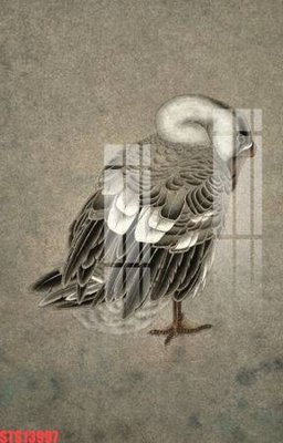 File gốc Tranh sơn dầu phương tây tổng hợp STS13997 (chủ đề hiện đại) trang trí