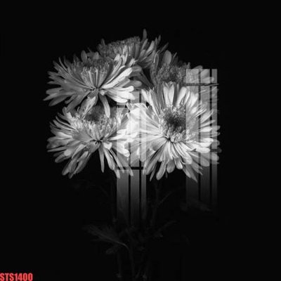 Tải file gốc Tranh sơn dầu phương tây tổng hợp STS1400 (in khổ lớn) quảng cáo