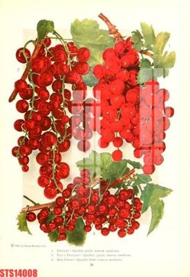 Tải file Tranh sơn dầu phương tây tổng hợp STS14008 (gốc) in nhanh