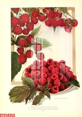 File gốc Tranh sơn dầu phương tây tổng hợp STS14153 (bản quyền) cho in ấn