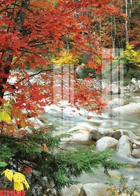 Download file Tranh sơn dầu phương tây tổng hợp STS14189 (chuẩn in) Tranh sơn dầu phương tây tổng hợp STS14189