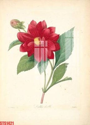 Download file gốc Tranh sơn dầu phương tây tổng hợp STS1421 (độ nét cao)