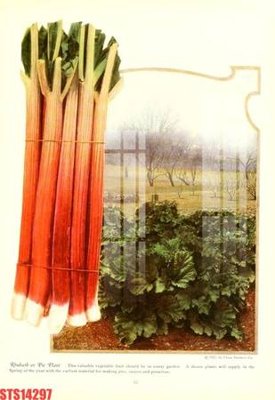 File gốc Tranh sơn dầu phương tây tổng hợp STS14297 (in lụa) cao cấp