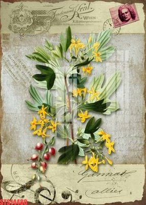 File tranh Tranh sơn dầu phương tây tổng hợp STS14480 (ảnh gốc) không bị mờ