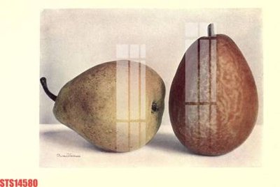 Download file gốc Tranh sơn dầu phương tây tổng hợp STS14580 (in mica) 3D