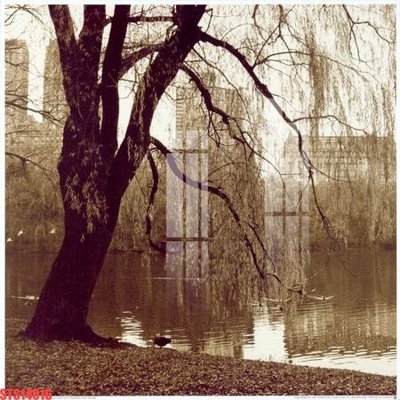 File gốc in ấn Tranh sơn dầu phương tây tổng hợp STS14616 chất lượng vượt trội