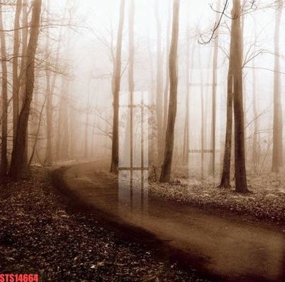 File gốc in ấn Tranh sơn dầu phương tây tổng hợp STS14664 chuẩn màu CMYK