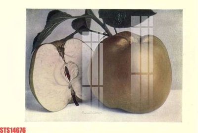 File tranh Tranh sơn dầu phương tây tổng hợp STS14676 (gốc) phong cách tối giản