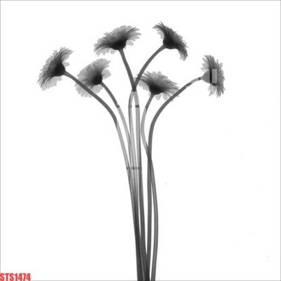 File gốc Tranh sơn dầu phương tây tổng hợp STS1474 (ảnh chi tiết) để in trần