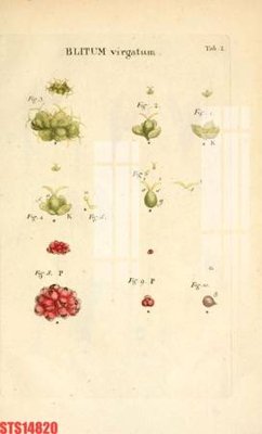 File in mica Tranh sơn dầu phương tây tổng hợp STS14820 (ảnh gốc) đẹp