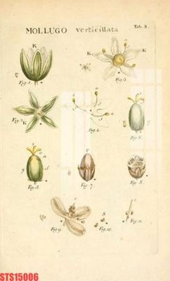 Tải file gốc Tranh sơn dầu phương tây tổng hợp STS15006 (in tráng gương) siêu đẹpFile tranh gốc Tranh sơn dầu phương tây tổng hợp STS15006 chất lượng cao