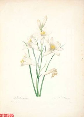 File PSD Tranh sơn dầu phương tây tổng hợp STS1505 (bản gốc) chất lượng nhất