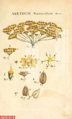 File gốc in ấn Tranh sơn dầu phương tây tổng hợp STS15102 chuẩn màu CMYK