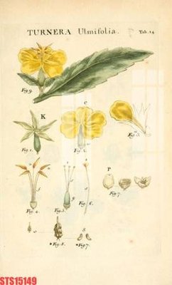 File gốc Tranh sơn dầu phương tây tổng hợp STS15149 (cho in ấn) từ Filetranh.com