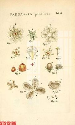 File in lụa Tranh sơn dầu phương tây tổng hợp STS15196 (phong cảnh) Tranh sơn dầu phương tây tổng hợp STS15196