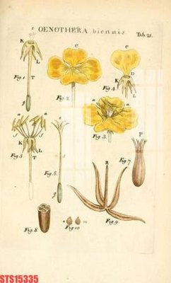 Tải file Tranh sơn dầu phương tây tổng hợp STS15335 (gốc) chủ đề tôn giáo