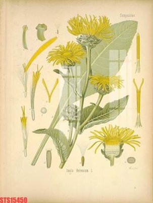 Chi tiết file tranh tráng gương Tranh sơn dầu phương tây tổng hợp STS15450 (ảnh gốc)