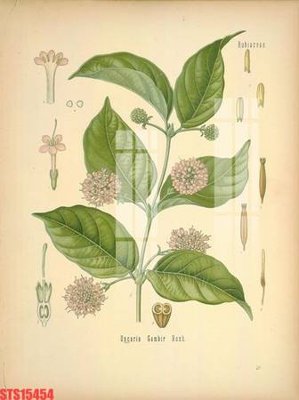 Tải file Tranh sơn dầu phương tây tổng hợp STS15454 (gốc) in ấn chất lượng