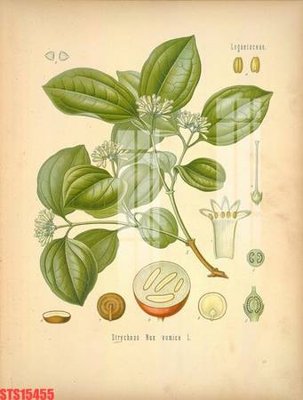 File gốc Tranh sơn dầu phương tây tổng hợp STS15455 (dành cho quảng cáo)