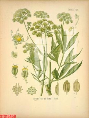 File in ấn Tranh sơn dầu phương tây tổng hợp STS15459 chuyên nghiệp