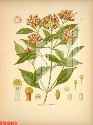 File gốc Tranh sơn dầu phương tây tổng hợp STS15460 (in 3D) nghệ thuật