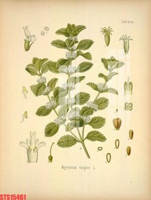 File in trần Tranh sơn dầu phương tây tổng hợp STS15461 (bản gốc) hoa văn