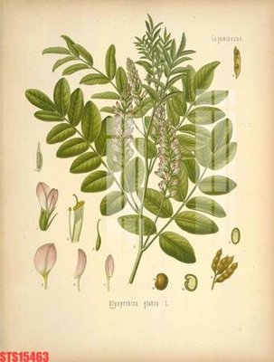 Tải về file tranh gốc Tranh sơn dầu phương tây tổng hợp STS15463 (để in quảng cáo)