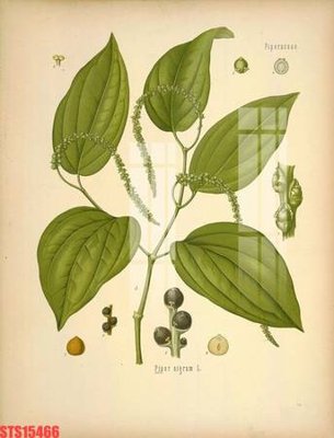 Download file Tranh sơn dầu phương tây tổng hợp STS15466 (gốc) in mica ốp bếp