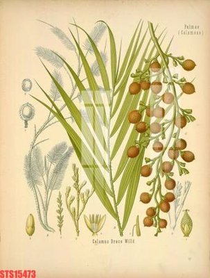 File PSD Tranh sơn dầu phương tây tổng hợp STS15473 (bản gốc) dễ dàng edit