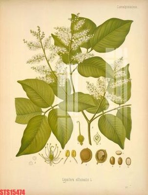 File ảnh Tranh sơn dầu phương tây tổng hợp STS15474 (gốc) dùng in Pano