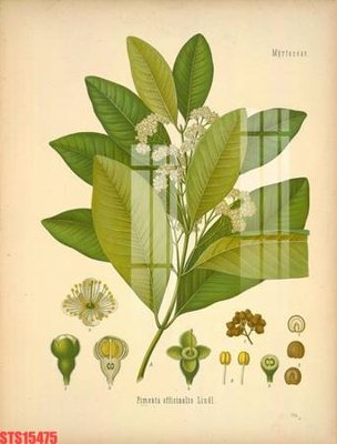 File gốc Tranh sơn dầu phương tây tổng hợp STS15475 (trang trí) cho phòng khách