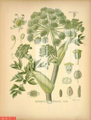 Tải file Tranh sơn dầu phương tây tổng hợp STS15484 (gốc) làm tranh treo tường