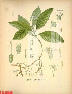 Mua file gốc Tranh sơn dầu phương tây tổng hợp STS15486 (chất lượng) tại Filetranh.com