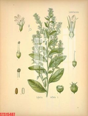 File tranh gốc Tranh sơn dầu phương tây tổng hợp STS15487 (bản quyền) Filetranh.com