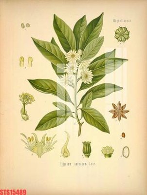 File ảnh Tranh sơn dầu phương tây tổng hợp STS15489 (gốc) in biển hiệu