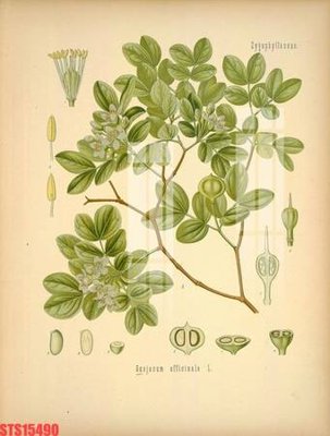 Tải file gốc Tranh sơn dầu phương tây tổng hợp STS15490 (bản PSD) chỉnh sửa được