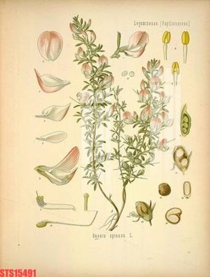 File tranh Tranh sơn dầu phương tây tổng hợp STS15491 (gốc) phong cách tối giản