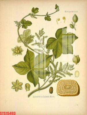 File gốc Tranh sơn dầu phương tây tổng hợp STS15493 (trang trí) phòng làm việc